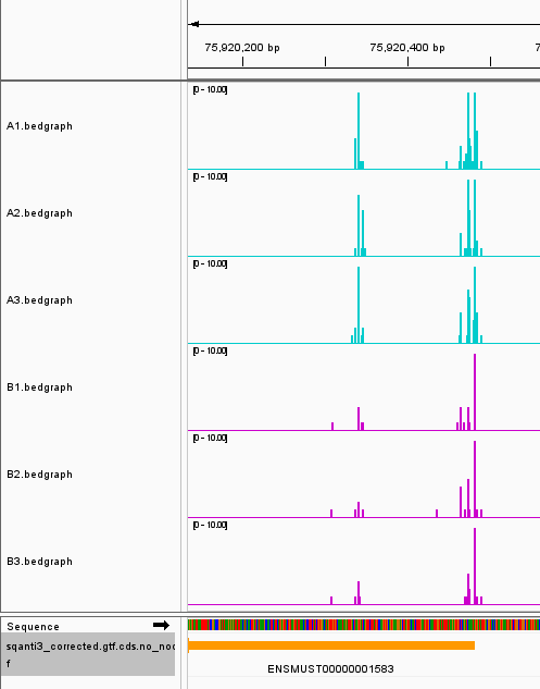 IGV APA Visualization