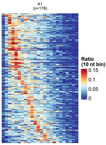 Sample PolyA Length Heatmap