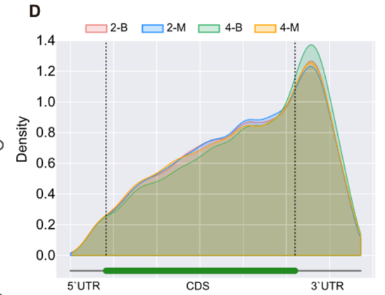 Modification Density Plot