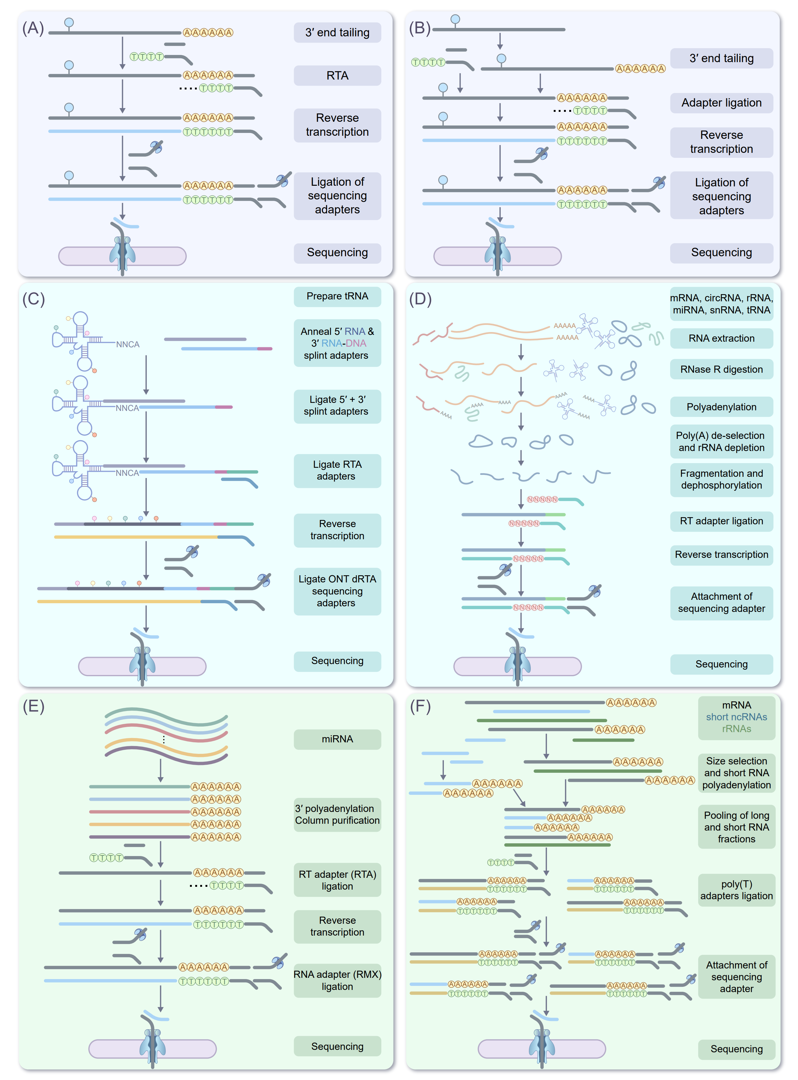 _images/Figure4-1.png